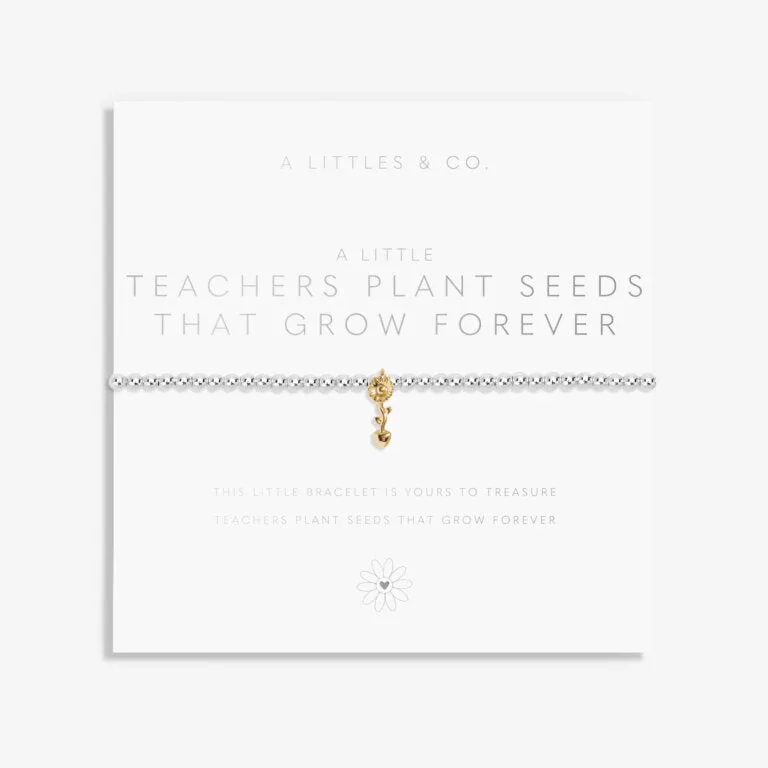 A Little Teachers Plant Seeds That Grow Forever