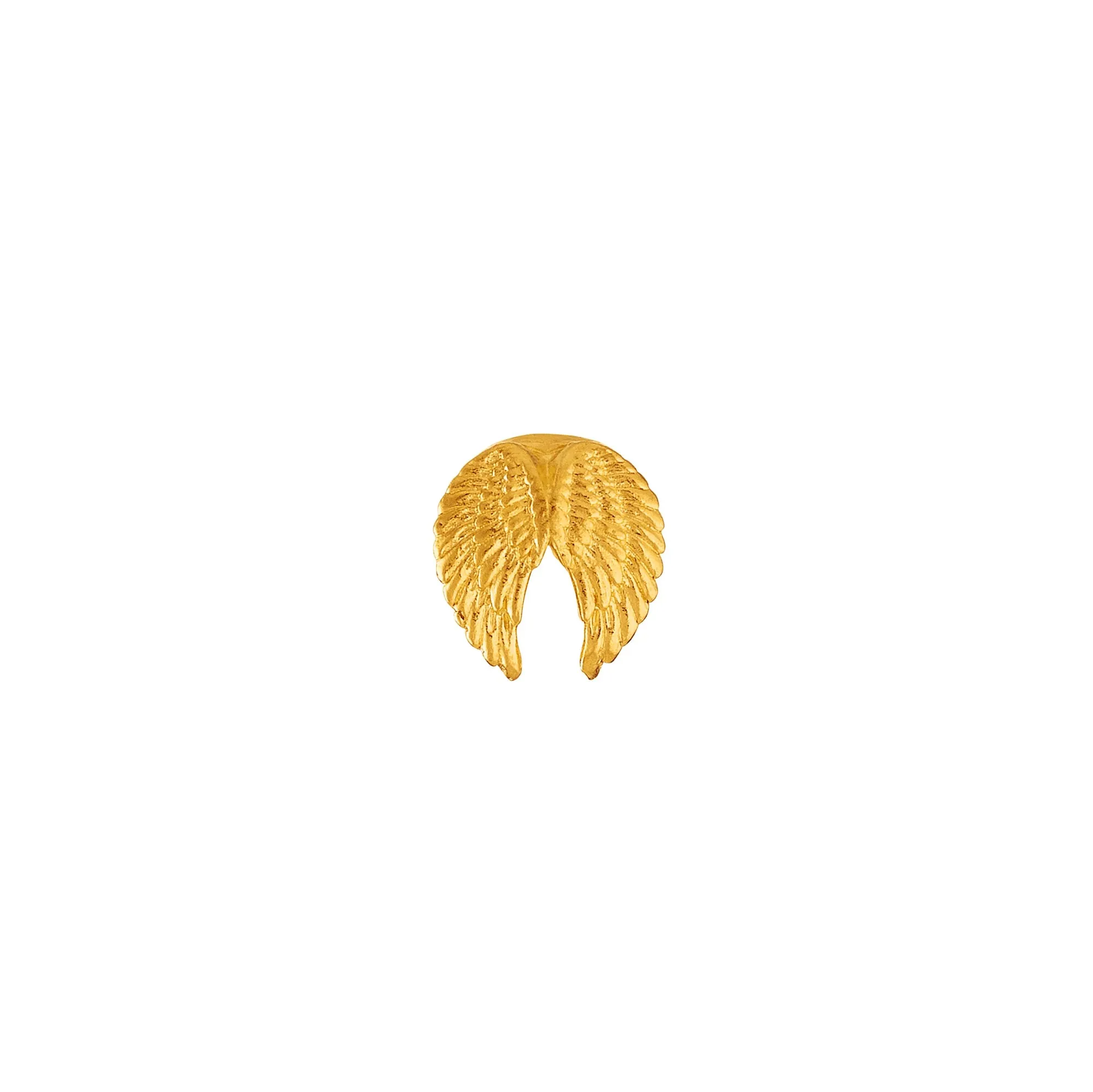 Angel Wings Charm