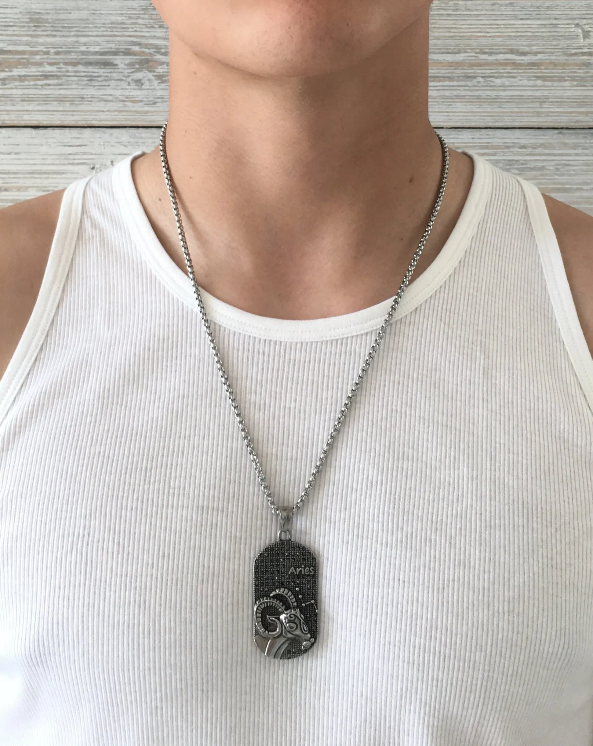 Aries 3D Dog tag necklaces