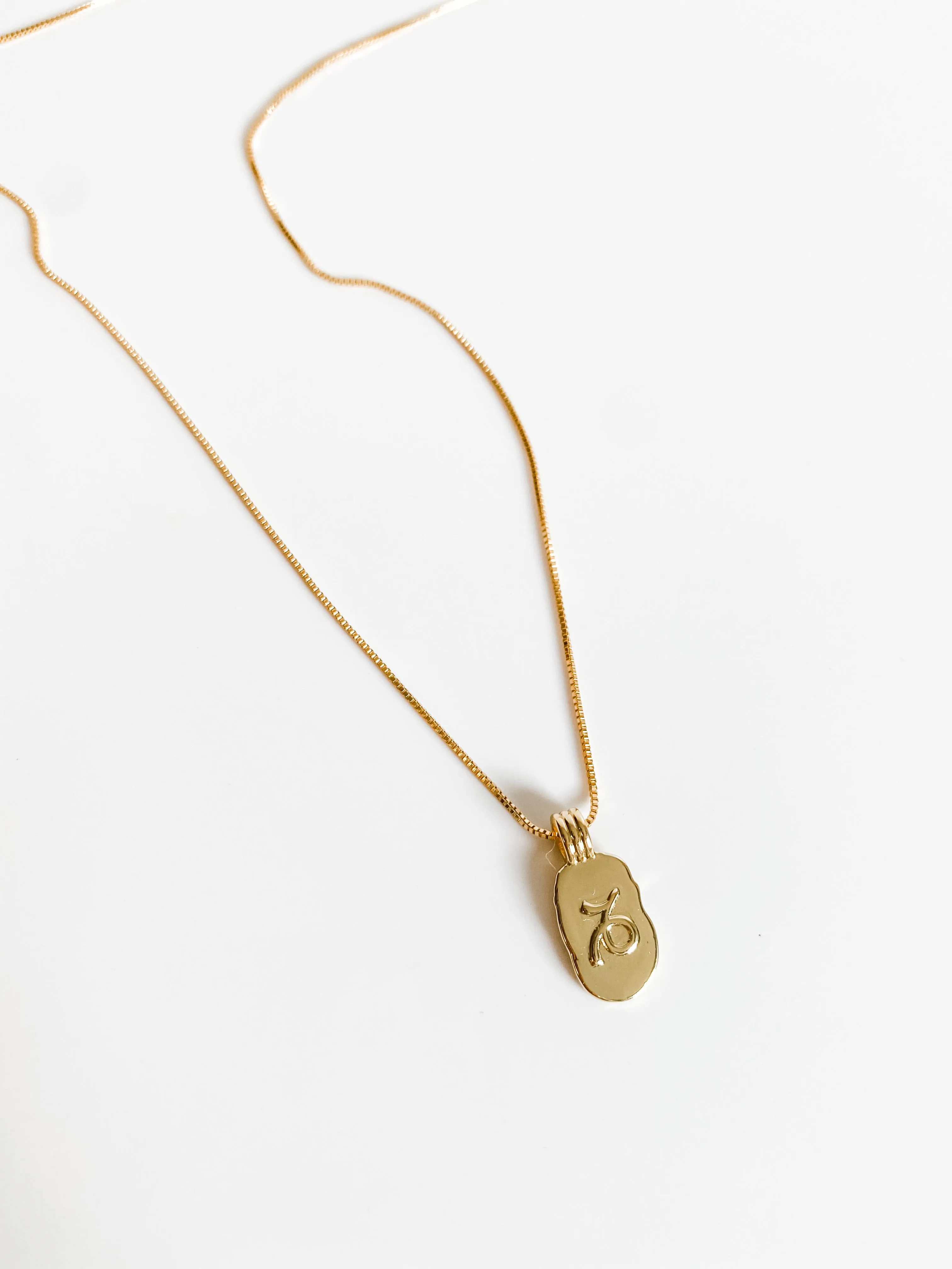 DAINTY ZODIAC NECKLACE
