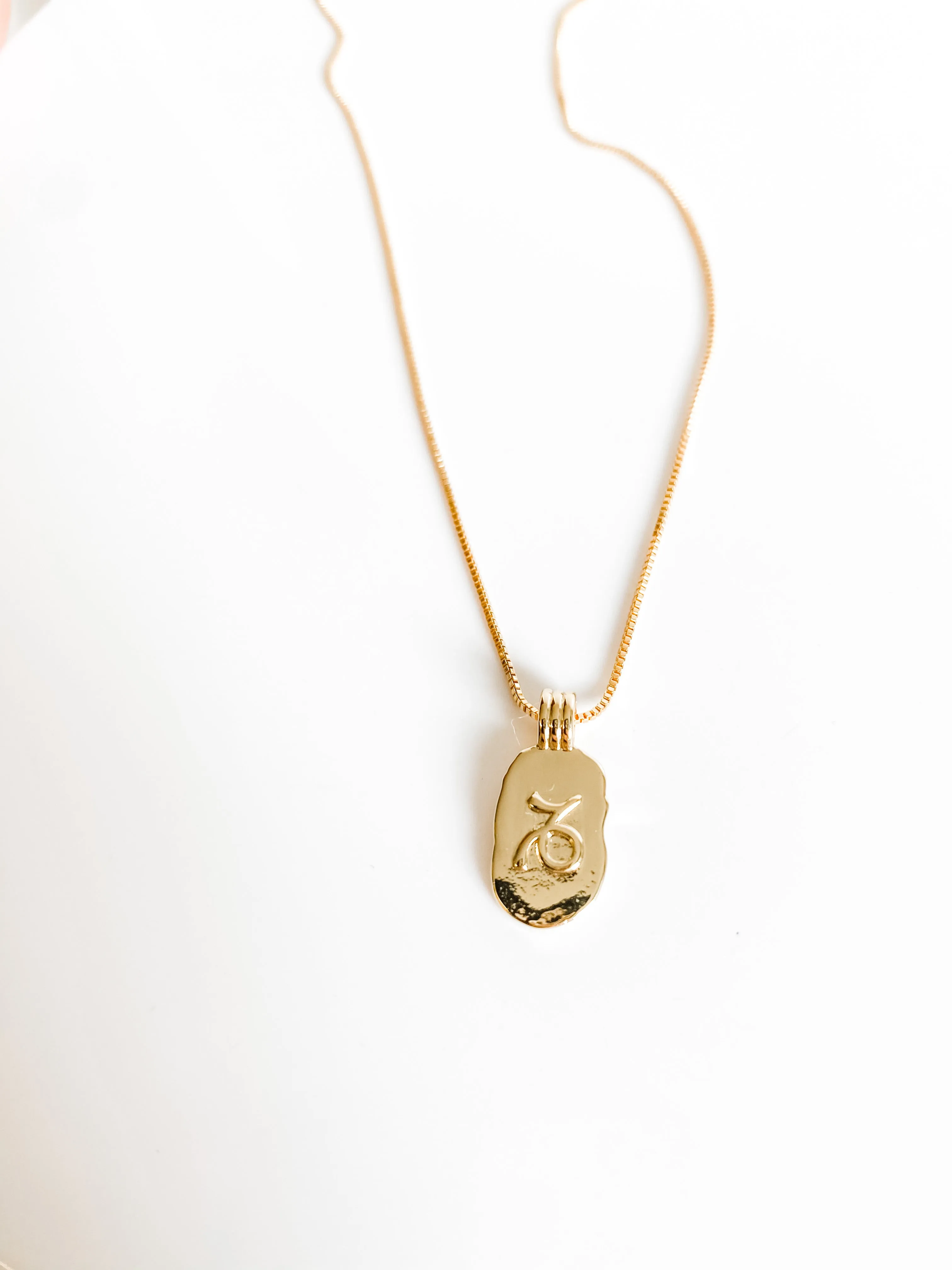 DAINTY ZODIAC NECKLACE