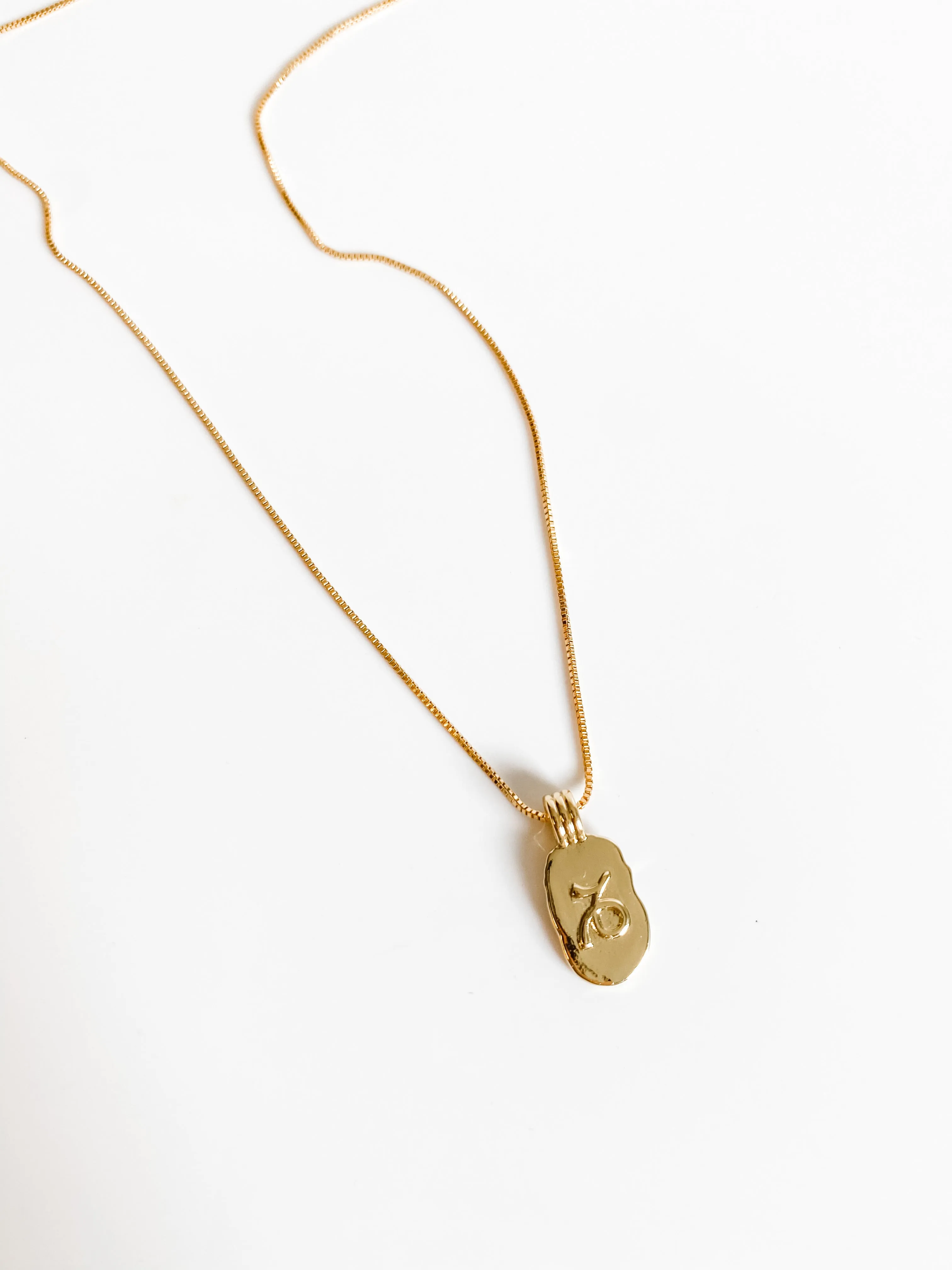 DAINTY ZODIAC NECKLACE