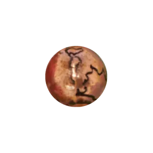 DUDE Acai Seeds of Life Bracelet