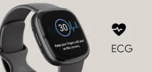 Fitfit Sense Smart Watch