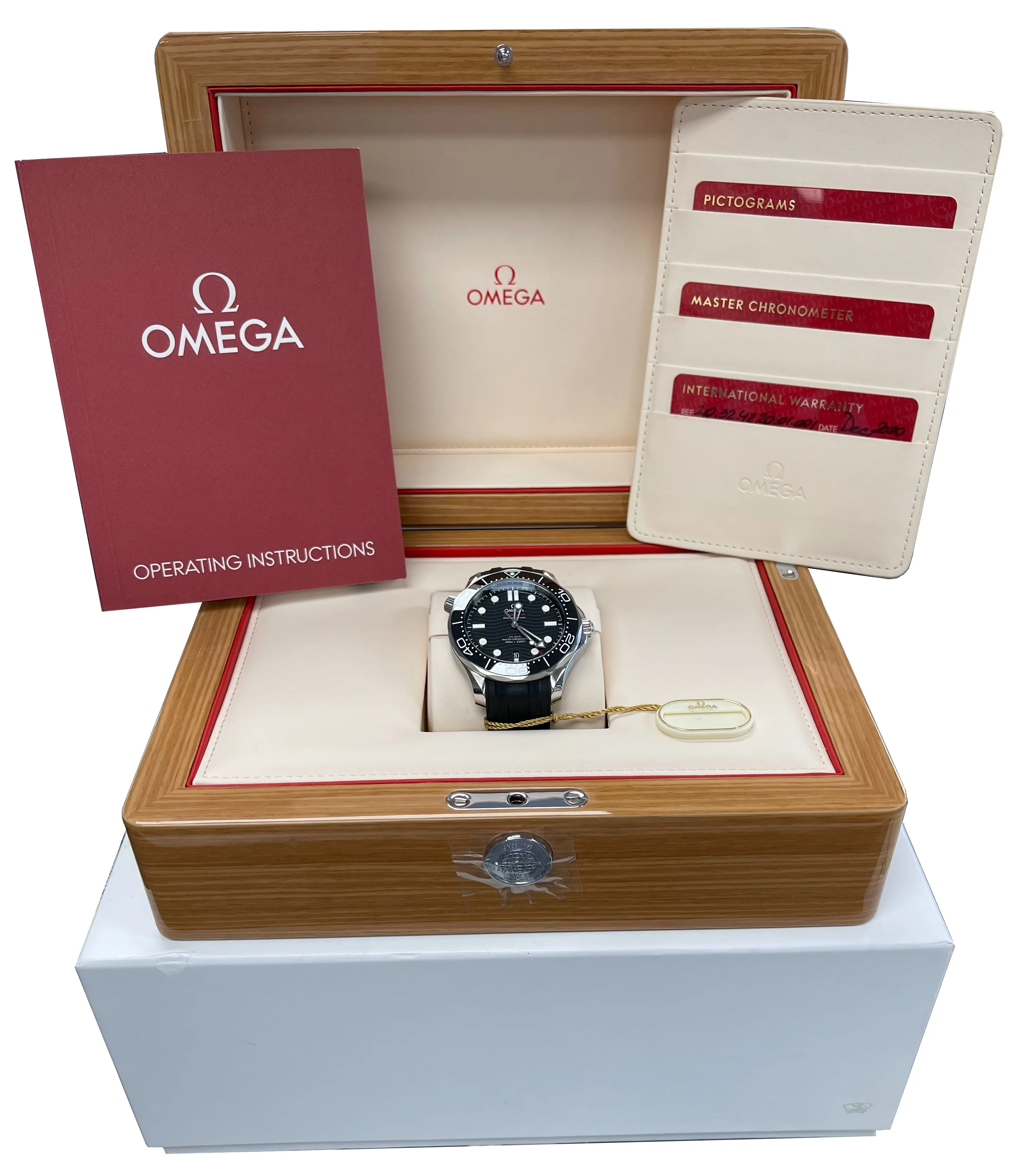 Omega Seamaster 300 Co-Axial 42mm Automatic SS Black Watch 210.32.42.20.01.001