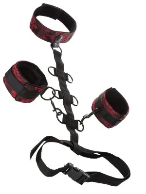 Scandal Collar Body Restraint