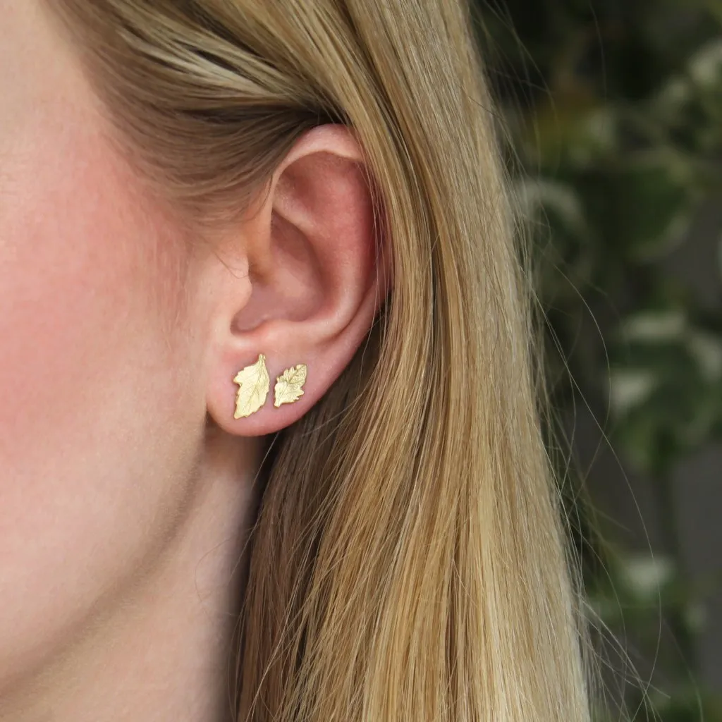 The Classic Oak Leaf Studs