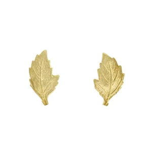 The Classic Oak Leaf Studs