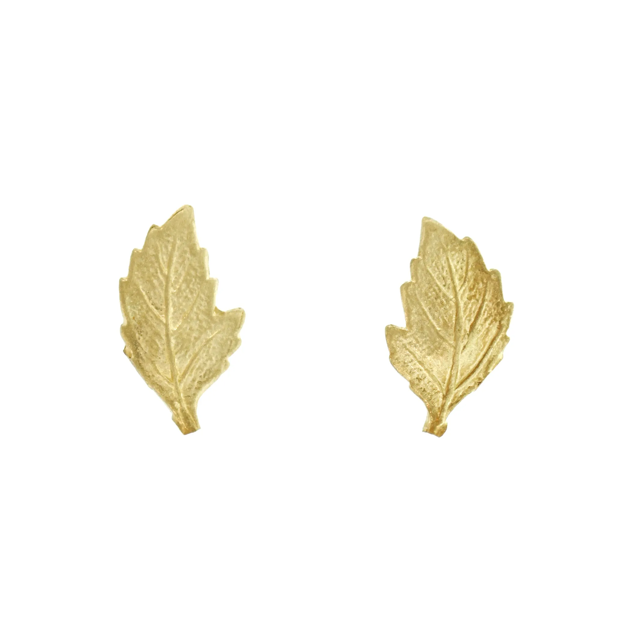 The Classic Oak Leaf Studs